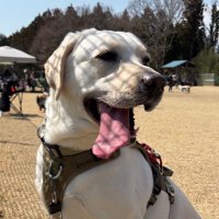 ☆エレン☆ (@ma_me09) 's Twitter Profile Photo