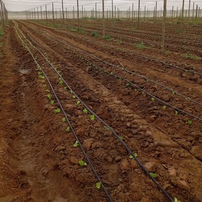 LAB. TECHNOLOGIST | FARMER |
SOUND ENGINEER | Camera Installer