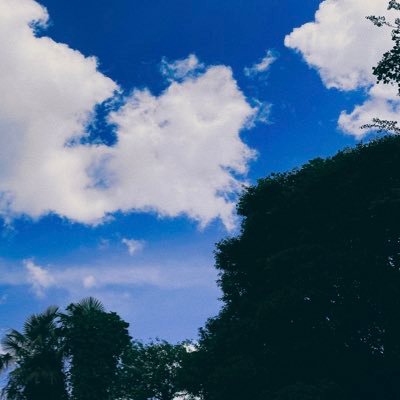 93sub_h's profile picture. 成人済 取引垢 ✿✿ 平成女児 / 通知不良の為お返事遅れる場合があります