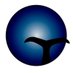 Oceano Alfa (@oceanoalfa) Twitter profile photo Oceano Alfa (@oceanoalfa) Twitter profile photo