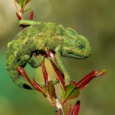 BeverlyTri's profile picture. 观察人间，记录废柴日常。喜欢美食、动漫和一切能偷懒的办法。发帖可能是吃喝玩乐，也可能是社死瞬间，欢迎围观我的摆烂人生。