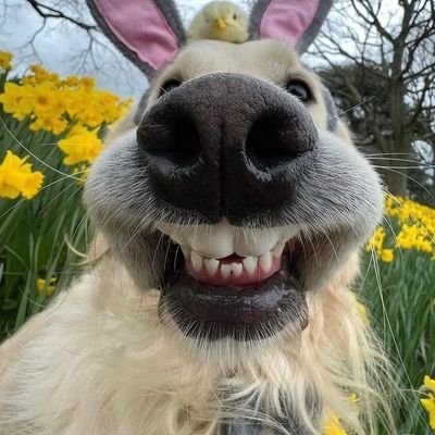 thedeathnerd's profile picture. Crazy🤪🤪🤪