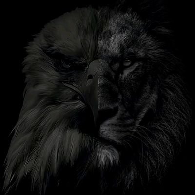 S41_45's profile picture. 