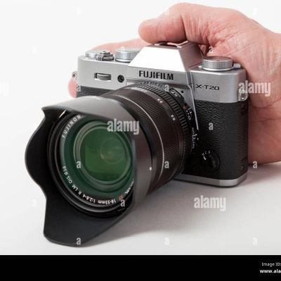 vesaliophoto1's profile picture. 