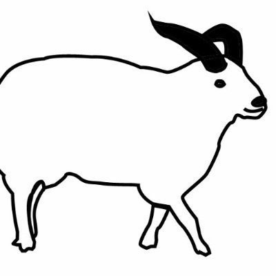 timenyan's profile picture. インディーズ映像作家 I 注意欠陥多動性障害/ 広汎性発達障害