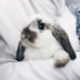 itsmiw_waratin🌻🐰🐶 (@jane_jenjira25) Twitter profile photo itsmiw_waratin🌻🐰🐶 (@jane_jenjira25) Twitter profile photo