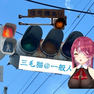 無言フォロー失礼します!信号機・鉄道模型・Vtuberが好きです 。ちなみに宝鐘マリン推し!🏴☠️ ※某VTuberとは関係ありません※