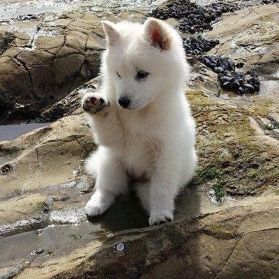 Carlo13149James's profile picture. 