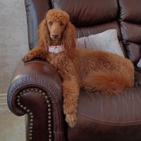 Suzanne (@suzanne44444444) 's Twitter Profile
