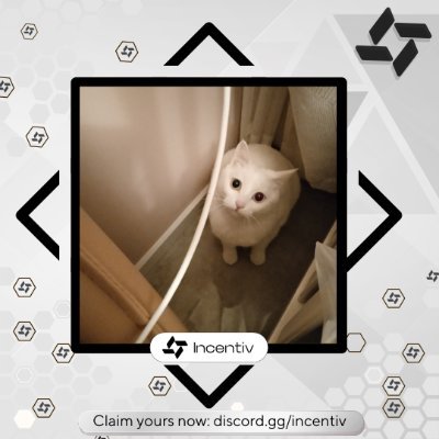 wangcong1988's profile picture. https://t.co/Sij70eBEWq ⏳@t2wrld https://t.co/bO0Uj4BN1D #zkApes