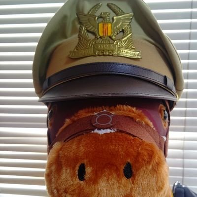 ニャンᓚᘏᗢさんのプロフィール画像