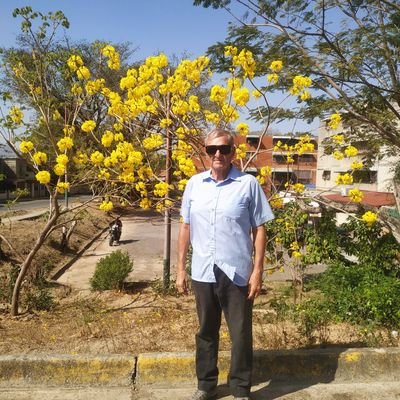 Escritor, Ensayista, Dramaturgo, Piloto de combate, Analista Politico, Experto en produccion y planificación de petroleo.
