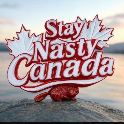 The democratic worlds ally has lost its way. The rest of the world will now unite. If you are MAGA aligned, you are anti Canadian. Full stop. Stay Nasty Canada