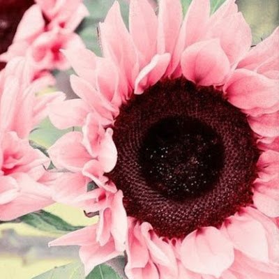 ChristinaC71359's profile picture. 