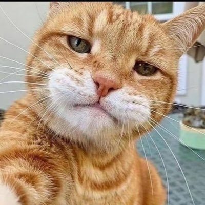 rururuczcz's profile picture. aaaaa