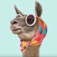 𝓣𝓸̈𝓹𝓬̧𝓮𝓮𝓮 🐬 (@topceee) 's Twitter Profile