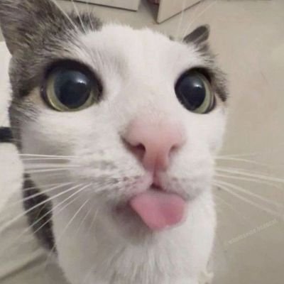 haruufc's profile picture. studytwt/langtwtෆ ㅤㅤㅤㅤㅤㅤㅤㅤㅤ3°EM; foco ENEM ! ㅤㅤㅤㅤㅤㅤㅤㅤㅤㅤㅤ'Have i gone mad?ㅤㅤㅤㅤㅤㅤㅤㅤㅤㅤㅤㅤ
I'm afraid so. But let me tell you something: the best people usualy are.'