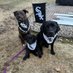 3barksriley_willow_mollie (@fourmeows) Twitter profile photo 3barksriley_willow_mollie (@fourmeows) Twitter profile photo