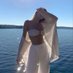 Tess Nichols (@chsmh63294524) Twitter profile photo