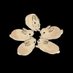 ֶָ (@kooflwre) Twitter profile photo ֶָ (@kooflwre) Twitter profile photo