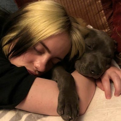 b. shelton lover ─୨ৎ─ billie ─୨ৎ─ aib ─୨ৎ─ sza
