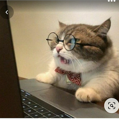 Ash_14emon's profile picture. 