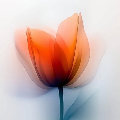 mudather51's profile picture. ليس ذنبي أنني كسرتُ كأسًا ادعى صاحبها أنها لا تكسر.