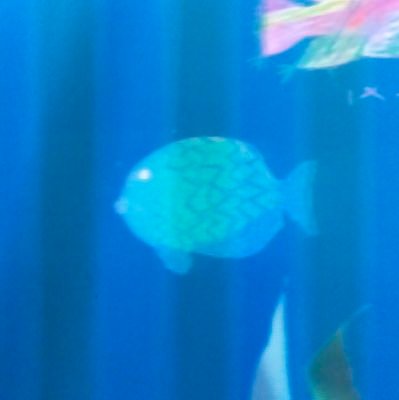 sadturness's profile picture. i'll be better on saturn.