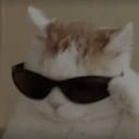 shiettrader's profile picture. bagholder