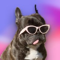barrett.dimo ๐ (@kowala_bear3) 's Twitter Profile Photo barrett.dimo ๐ (@kowala_bear3) 's Twitter Profile Photo