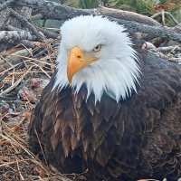 There's no place like the USA. God Bless America!! (@colonelugga) 's Twitter Profile