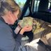 Animal Rescue Walfare (@rescuewalfare18) Twitter profile photo Animal Rescue Walfare (@rescuewalfare18) Twitter profile photo