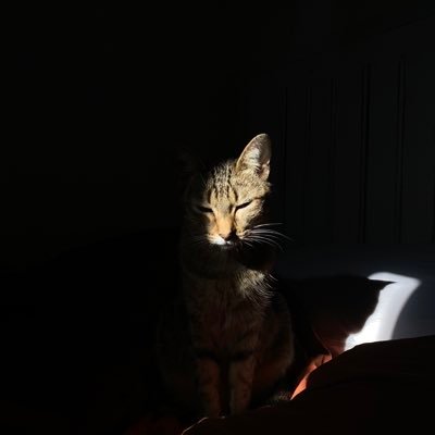 andrea_ppaz's profile picture. Lic. en sociología por la @UNAM.