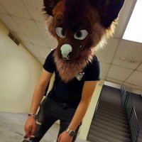 ICEOLATED (@shotsyhyena) 's Twitter Profile