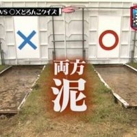 宗教二世の大学院生 (@dontwant2giveup) 's Twitter Profile Photo