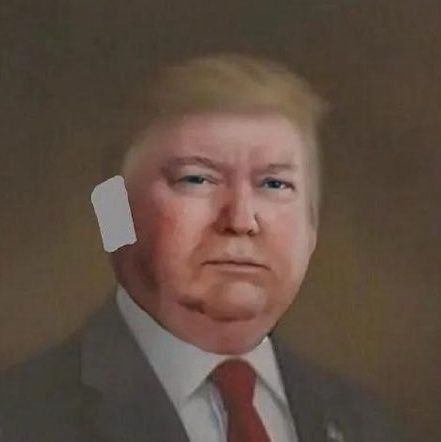 Primarily, I repost content. Pros: Dems, Vets, LGBTQ+, Animals, History, Science, Art. Cons: MAGAts, GOP