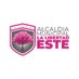 Alcaldía La Libertad Este (@alcaldialle) Twitter profile photo Alcaldía La Libertad Este (@alcaldialle) Twitter profile photo