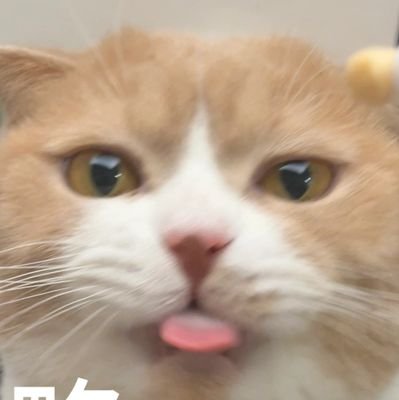 JC7 ☻さんのプロフィール画像