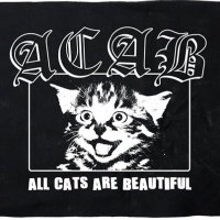 Ali - Lime st (@limest__) 's Twitter Profile