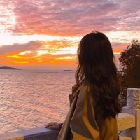 Bella (@tarenlevis) 's Twitter Profile