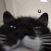 SneakyBoi (@sneakyboi_) Twitter profile photo SneakyBoi (@sneakyboi_) Twitter profile photo