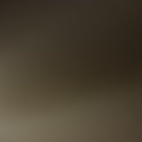 Aj (@favdreadhead01) 's Twitter Profile