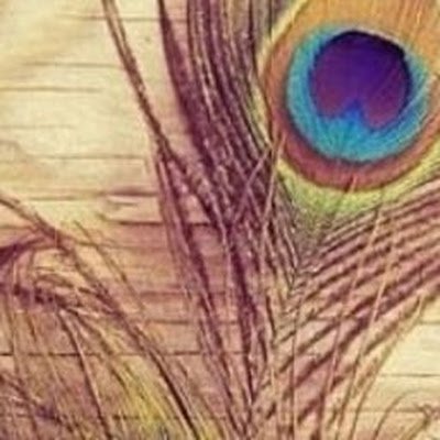 krus36526's profile picture. 