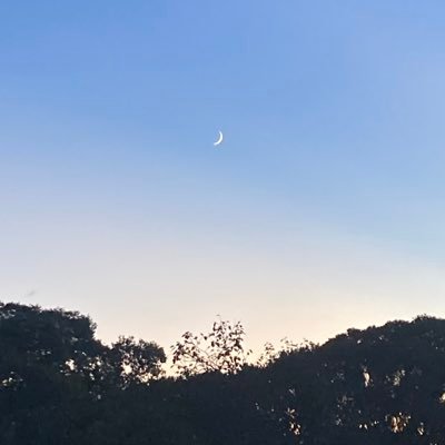 18↑   色んな沼にハマってる                               専門学生