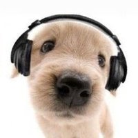 Lua ⊬ ★ (@barbiwr_) 's Twitter Profile Photo Lua ⊬ ★ (@barbiwr_) 's Twitter Profile Photo