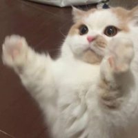 mm (@galonever_) Twitter profile photo