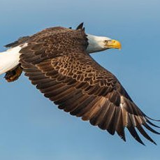 RealStumpDaddy's profile picture. Father, Grandfather, Believer, Veteran TV guy, Conservative Patriot & Keeper of the Bullshit Meter. If you are a Musk wanna-be please don’t follow me!