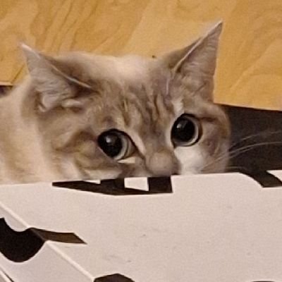 Lunala2IQ's profile picture. Suivez les aventures de Lulu
Apparemment elle a instagram aussi : https://t.co/QQJ3dbeLKn