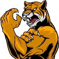 Tigre Rockero ® (@eltigrerockero) 's Twitter Profile