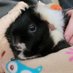 Ann🐾🐹🐹🐹🐶 (@ann63557648) Twitter profile photo Ann🐾🐹🐹🐹🐶 (@ann63557648) Twitter profile photo